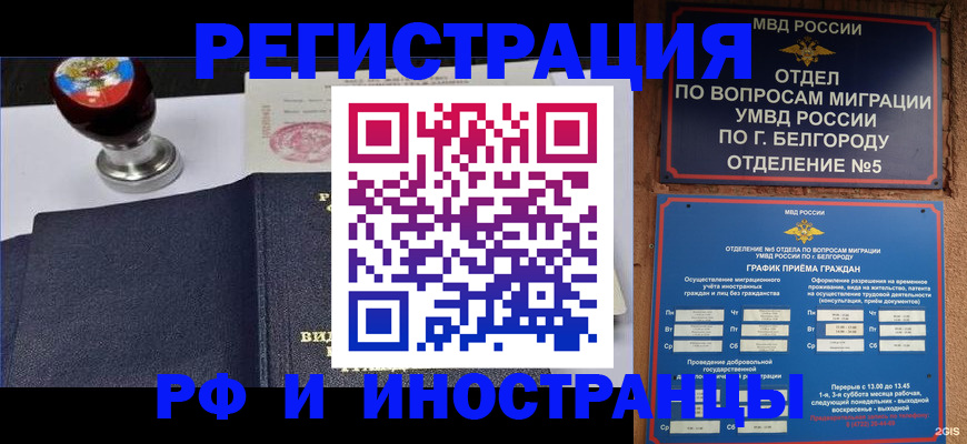 временная регистрация поиск в Палласовке